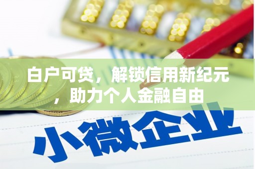 修文白户可贷，解锁信用新纪元，助力个人金融自由
