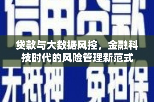 修文贷款与大数据风控，金融科技时代的风险管理新范式
