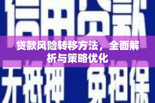 修文贷款风险转移方法，全面解析与策略优化