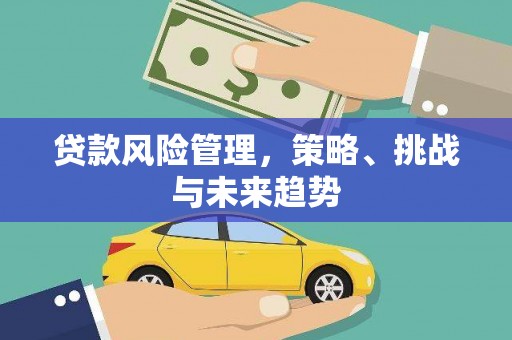 修文贷款风险管理，策略、挑战与未来趋势