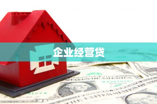 修文企业经营贷