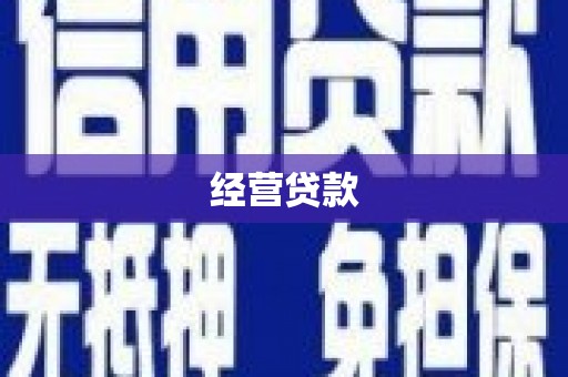 修文经营贷款