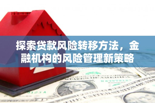 修文探索贷款风险转移方法，金融机构的风险管理新策略