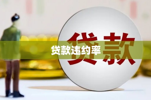 修文贷款违约率