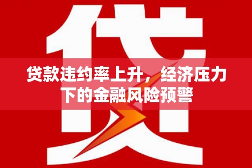 修文贷款违约率上升，经济压力下的金融风险预警