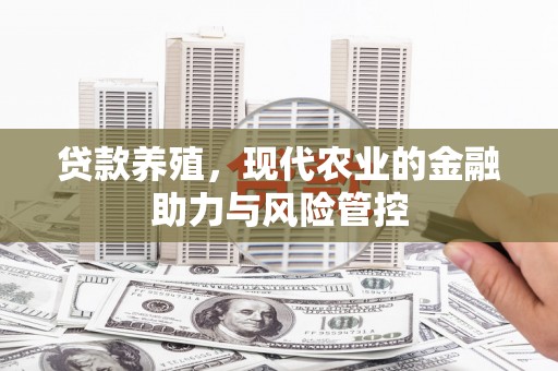 修文贷款养殖，现代农业的金融助力与风险管控