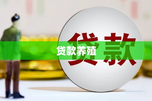 修文贷款养殖
