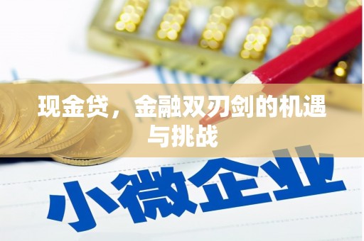 修文现金贷，金融双刃剑的机遇与挑战