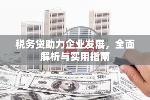 修文税务贷助力企业发展，全面解析与实用指南