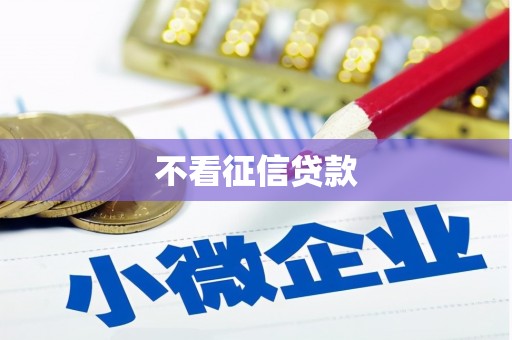 修文不看征信贷款
