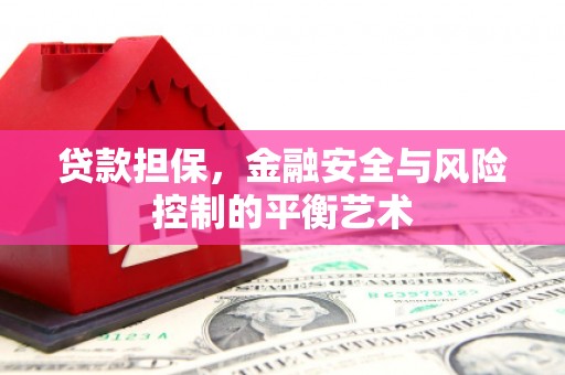 修文贷款担保，金融安全与风险控制的平衡艺术