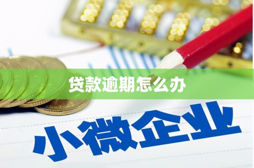 修文贷款逾期怎么办