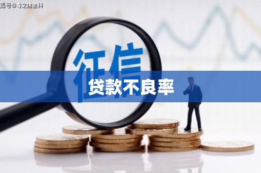 修文贷款不良率