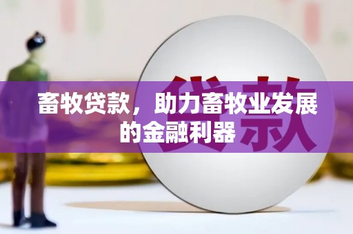 修文畜牧贷款，助力畜牧业发展的金融利器