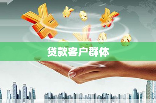 修文贷款客户群体