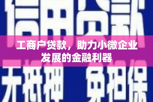 修文工商户贷款，助力小微企业发展的金融利器