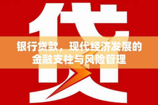 修文银行贷款，现代经济发展的金融支柱与风险管理