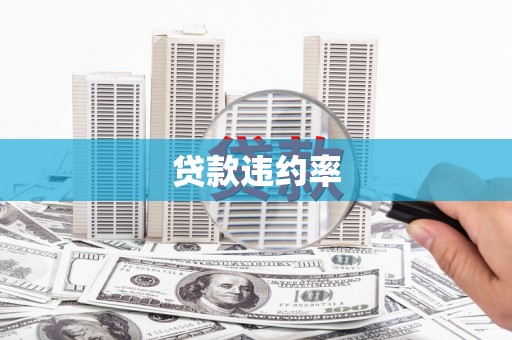 修文贷款违约率