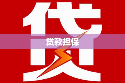 修文贷款担保