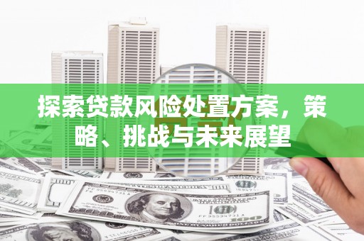 修文探索贷款风险处置方案，策略、挑战与未来展望