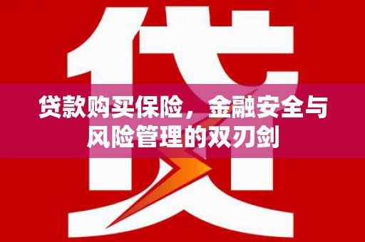 修文贷款购买保险，金融安全与风险管理的双刃剑