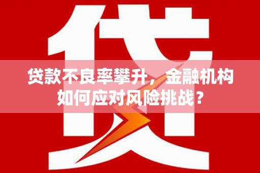 修文贷款不良率攀升，金融机构如何应对风险挑战？
