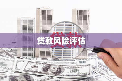 修文贷款风险评估