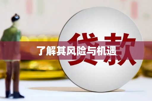 修文了解其风险与机遇