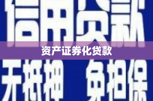 修文资产证券化贷款