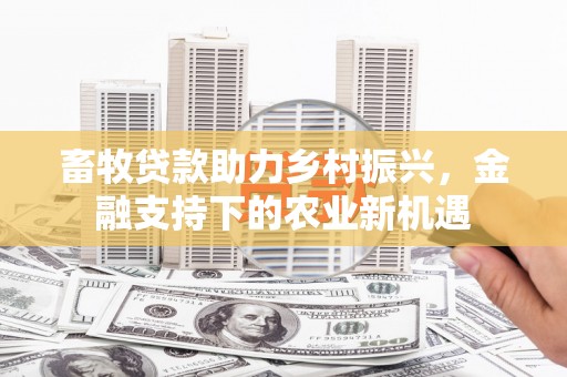 修文畜牧贷款助力乡村振兴，金融支持下的农业新机遇