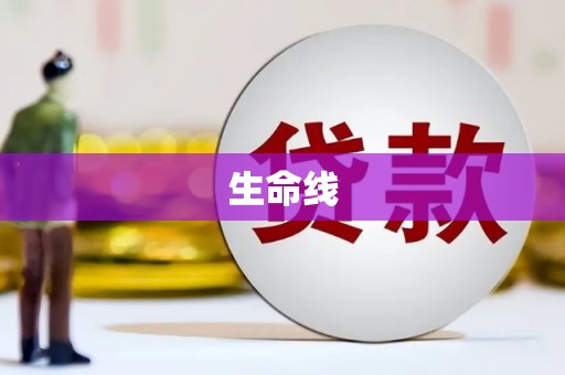 修文生命线