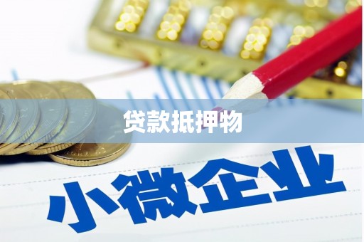 修文贷款抵押物