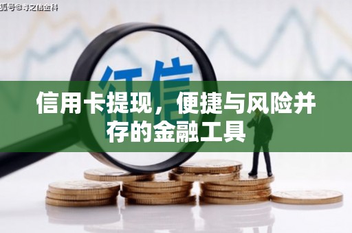 修文信用卡提现，便捷与风险并存的金融工具