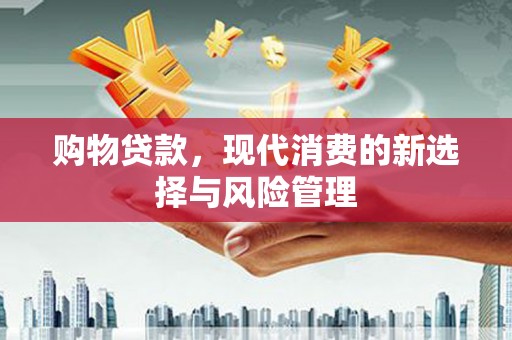 修文购物贷款，现代消费的新选择与风险管理
