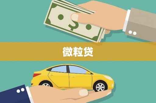 修文微粒贷