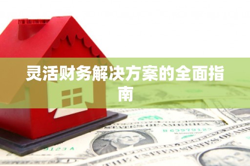 修文灵活财务解决方案的全面指南