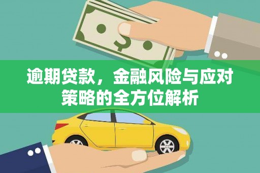 修文逾期贷款，金融风险与应对策略的全方位解析