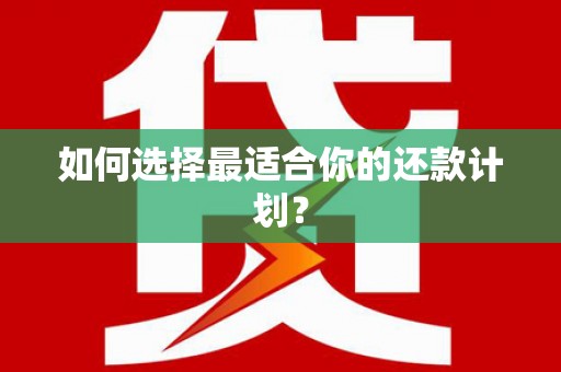 修文如何选择最适合你的还款计划？