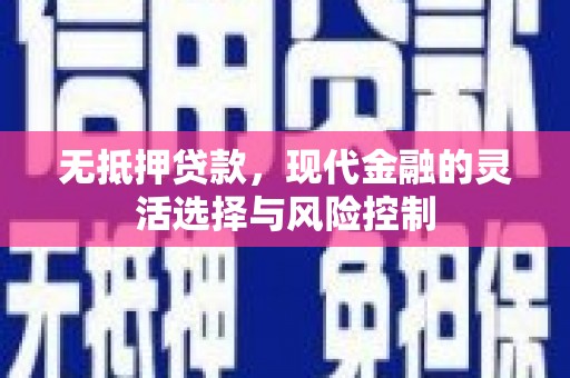 修文无抵押贷款，现代金融的灵活选择与风险控制