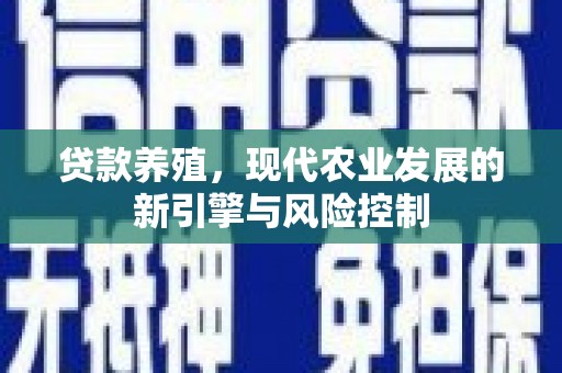 修文贷款养殖，现代农业发展的新引擎与风险控制
