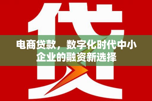 修文电商贷款，数字化时代中小企业的融资新选择