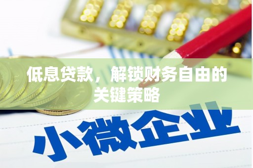 修文低息贷款，解锁财务自由的关键策略