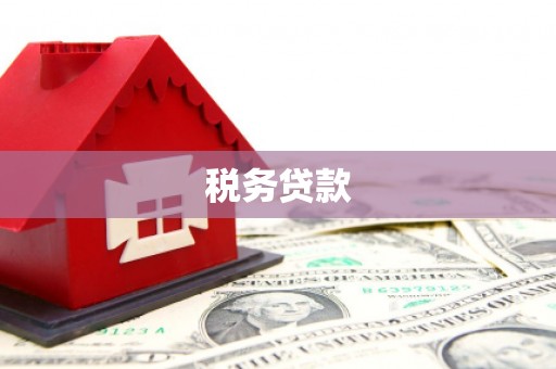 修文税务贷款