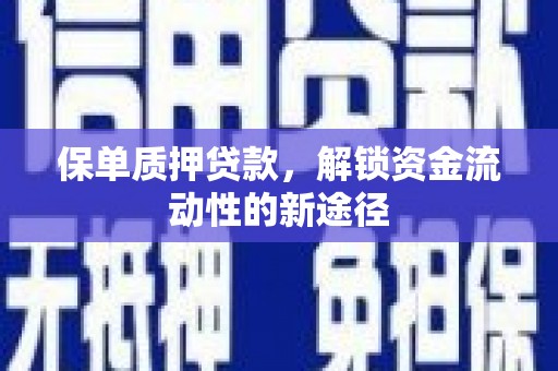 修文保单质押贷款，解锁资金流动性的新途径