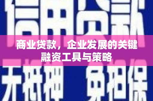 修文商业贷款，企业发展的关键融资工具与策略