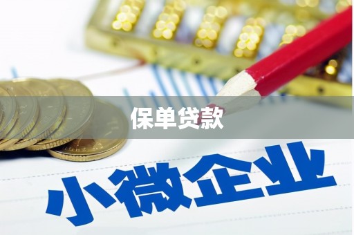 修文保单贷款
