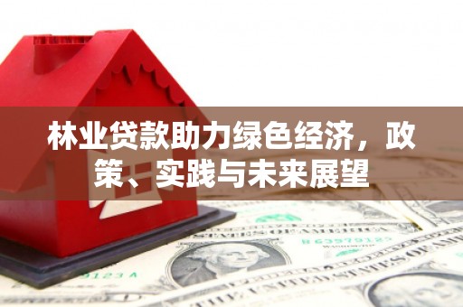修文林业贷款助力绿色经济，政策、实践与未来展望