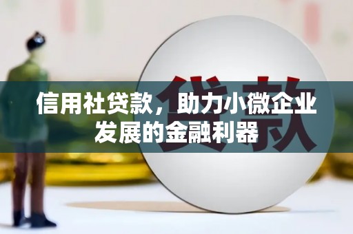 修文信用社贷款，助力小微企业发展的金融利器