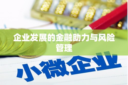 修文企业发展的金融助力与风险管理