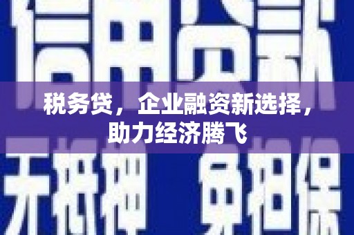 修文税务贷，企业融资新选择，助力经济腾飞